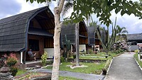 IMG_6484
