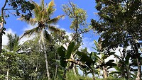 IMG_6500