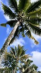 IMG_6510