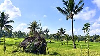 IMG_6516