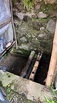 IMG_6529