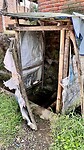 IMG_6527