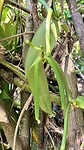 IMG_6533