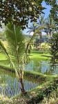 IMG_6538