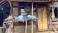 IMG_6541