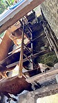 IMG_6555