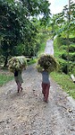 IMG_6560