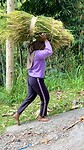 IMG_6563