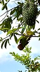 IMG_6565