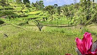 IMG_6584