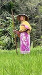 IMG_6611