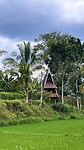 IMG_6614