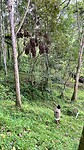 IMG_6617