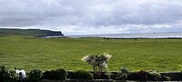 IMG_8935