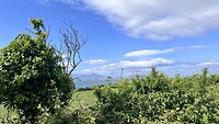 IMG_9003