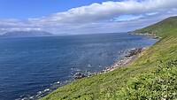 IMG_9006
