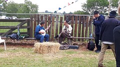 Bleu grass festival