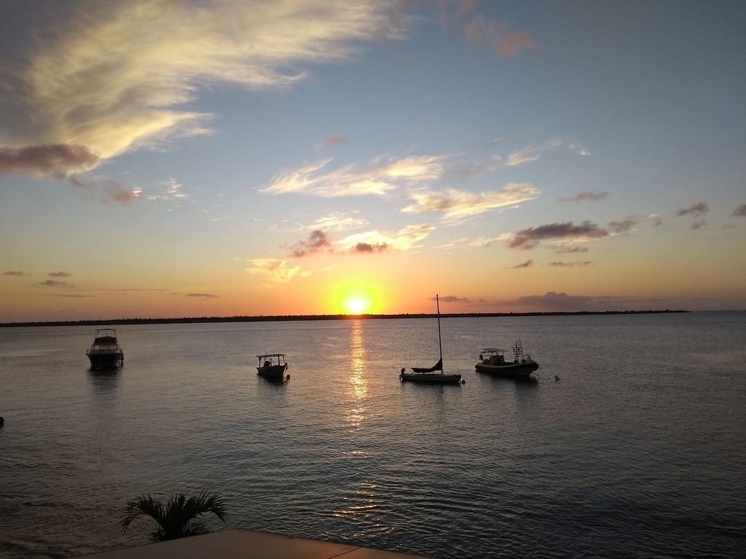 IMG_20200129_182734905