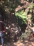 IMG_5284