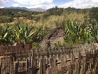 IMG_5297