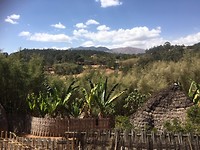 IMG_5299
