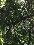 IMG_6547