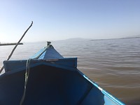 IMG_6430