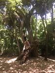 IMG_6555
