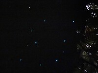 360F60C0-D0C2-4921-9976-32F60ECF0722
