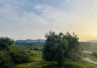 Tuintje in San Fillipo