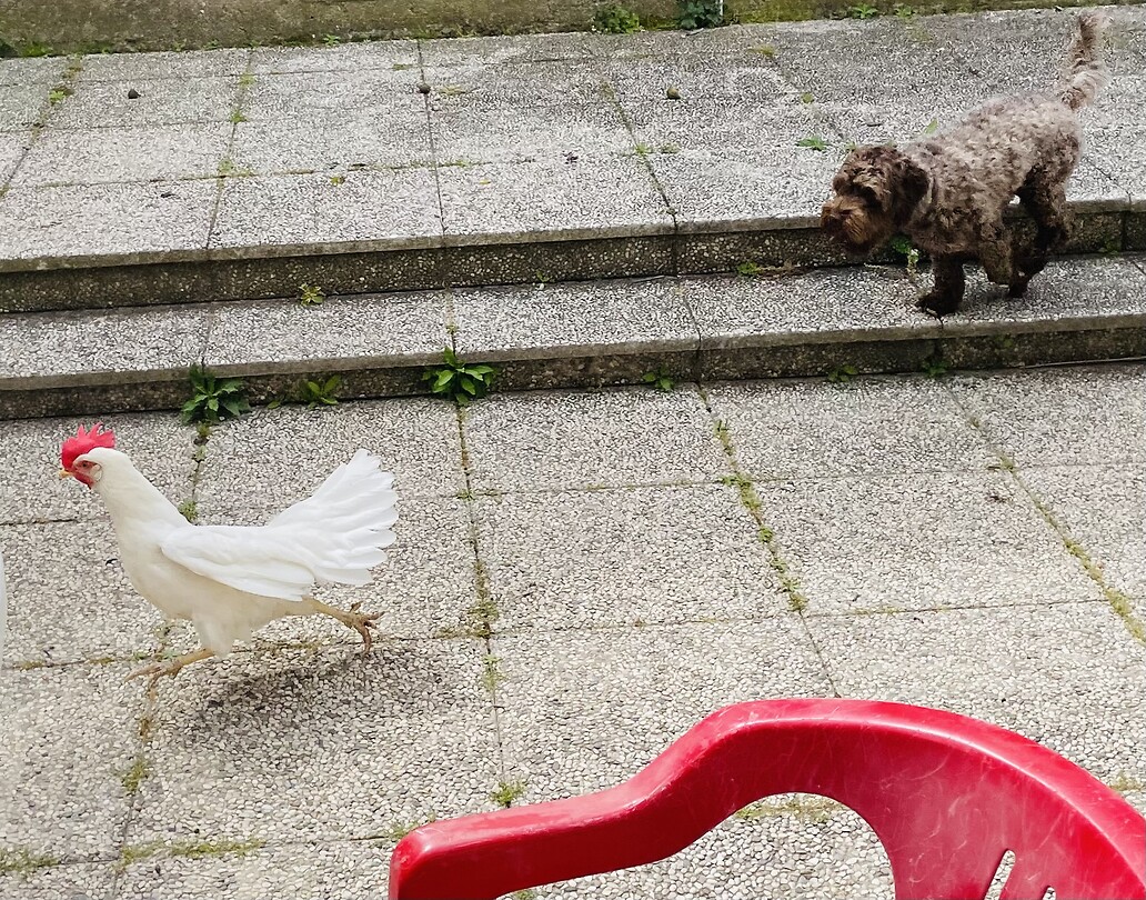 Hunting Milo