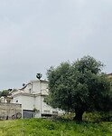 La casa