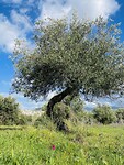 Uitzicht San Filippo