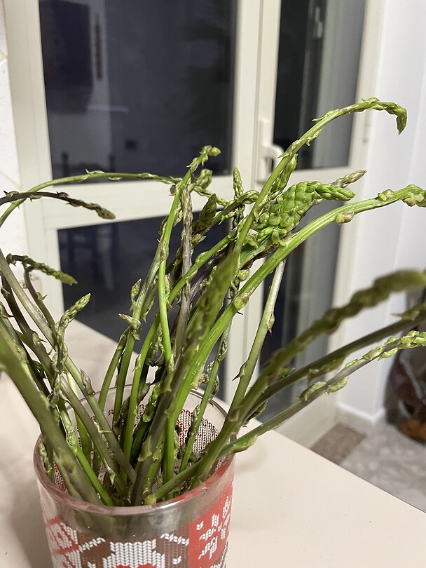 Wilde asperges