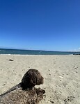 Strandwacht