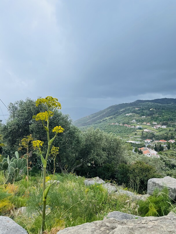Tindari2