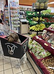 Milo shopping