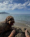 Miloaanzee