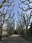 Stadspark
