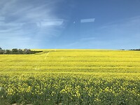 Onderweg