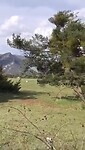 Campinglife