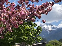 Alpenroute