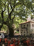 Terras in Kosmas