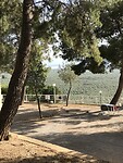 Camping Chrissa
