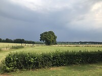 Uitzicht