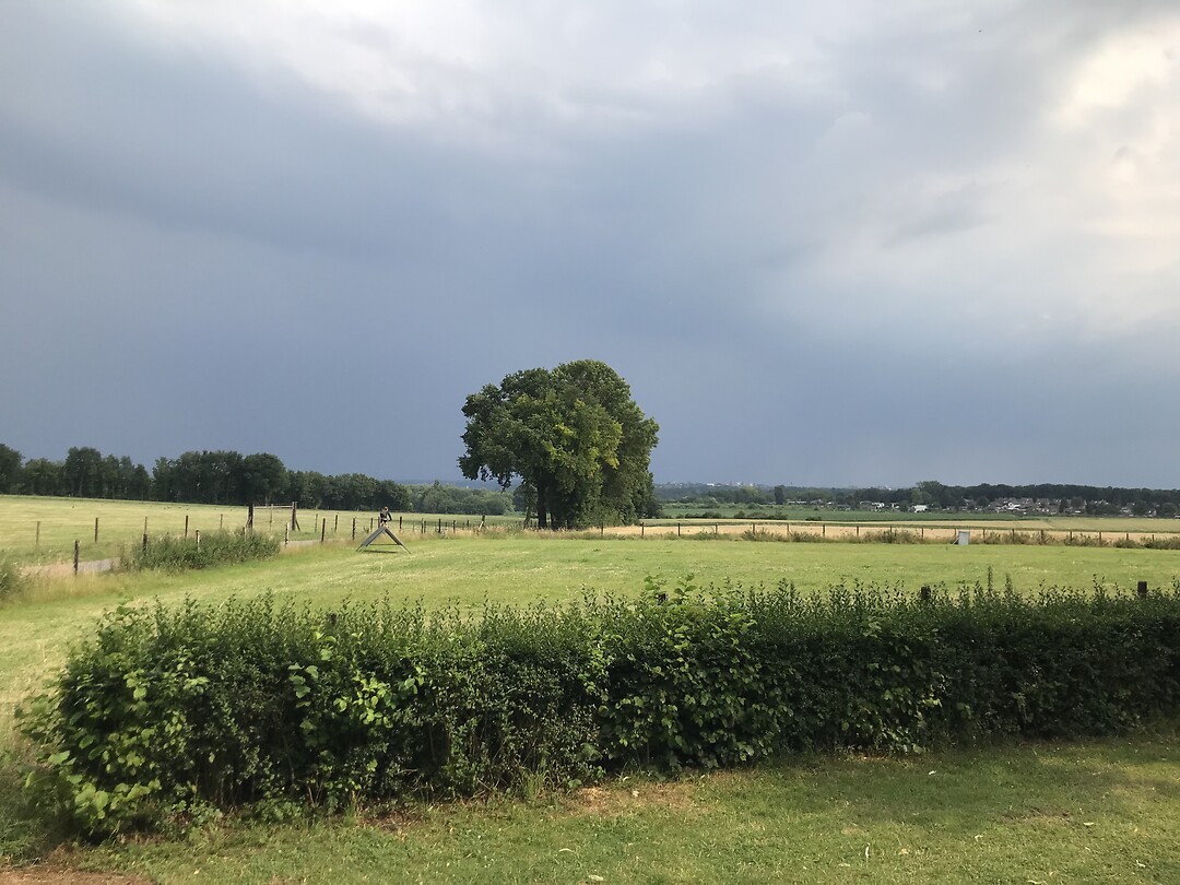 Uitzicht