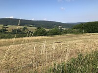 Uitzicht