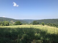 Weids uitzicht