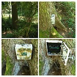 Geocache
