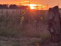 Zonsondergang
